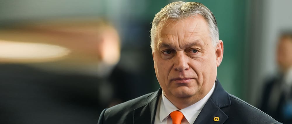 Orban, das Kameradenschwein | Von Rüdiger Rauls Beitragsbild