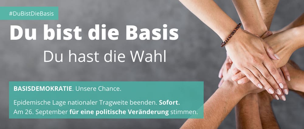 Warum ich für die Basis-Partei kandidiere | Von Ernst Wolff Beitragsbild