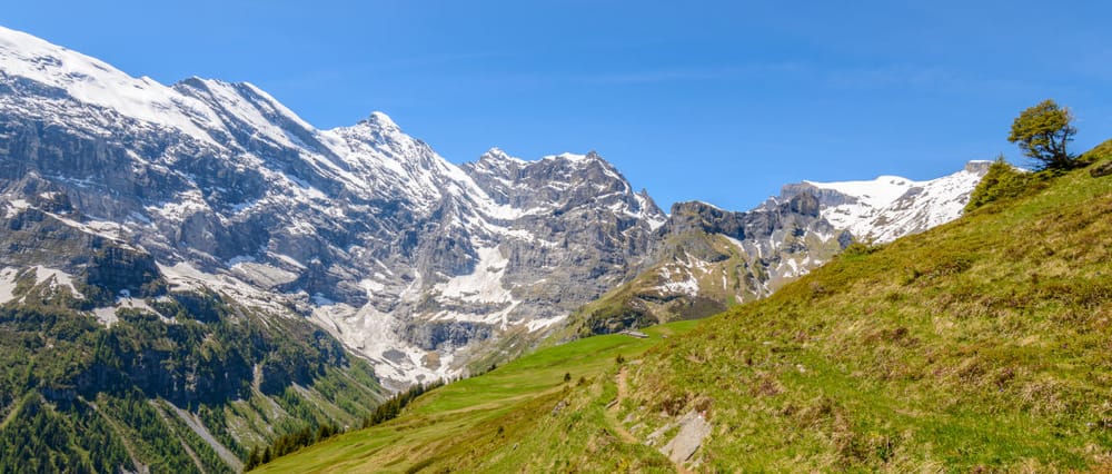 Einfach nur die falschen Wörter weglassen Beitragsbild