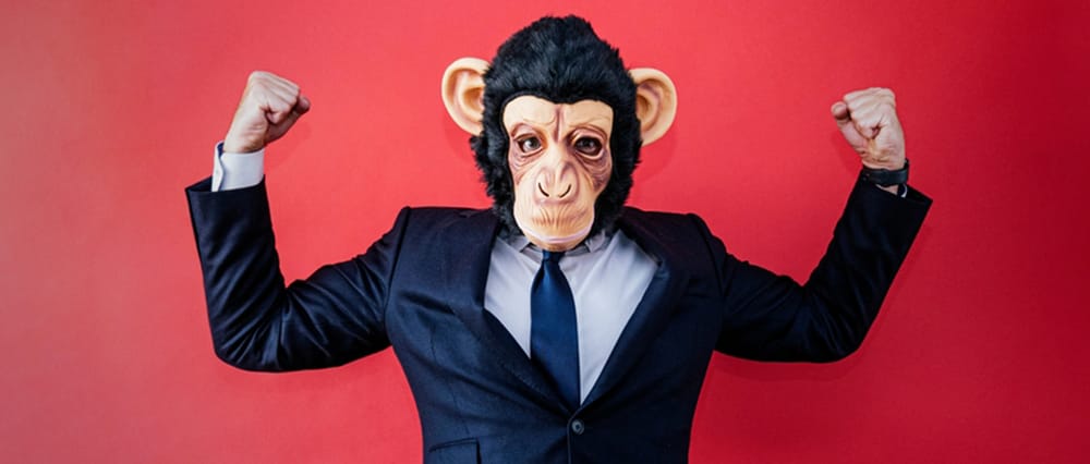 Monkey Business | Von Paul Schreyer Beitragsbild