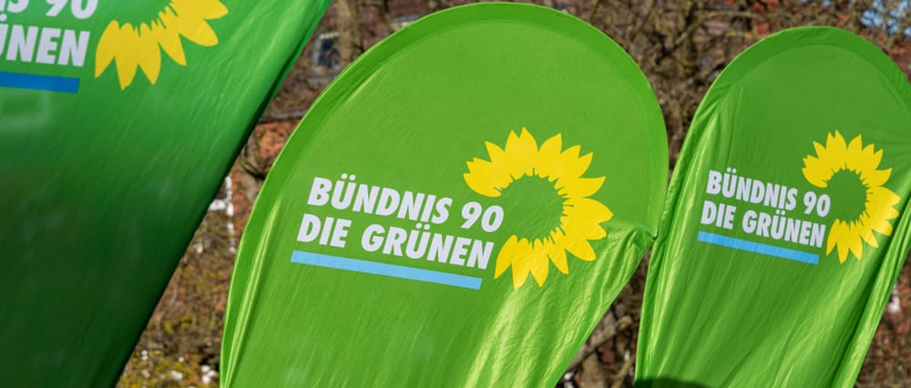 Sachbuch über die "Die Grünen" – Wie sie sich von einer Protestpartei zum Kriegsakteur wandelten Beitragsbild